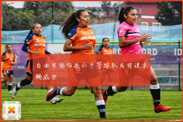 自由市场临近公牛等球队或将追求鲍威尔